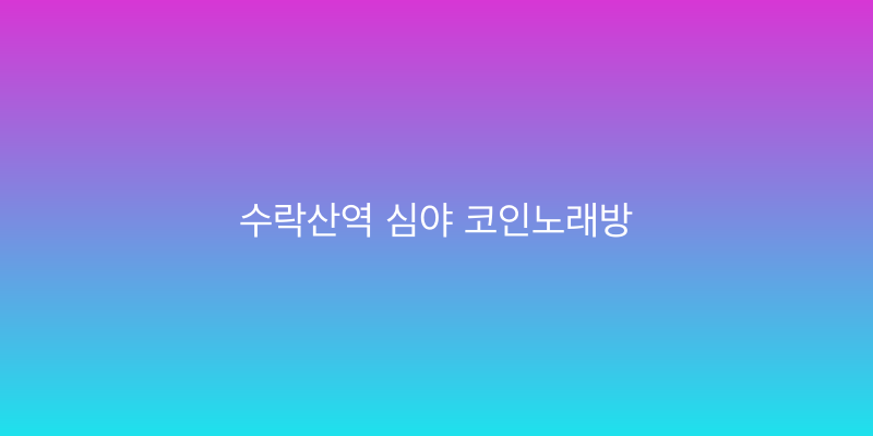 수락산역 심야 코인노래방