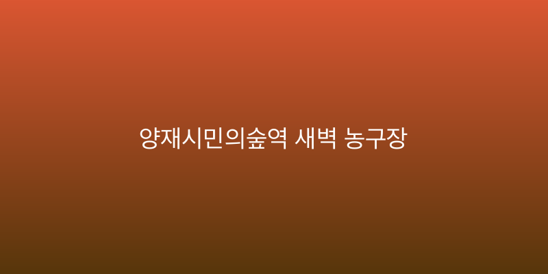 양재시민의숲역 새벽 농구장