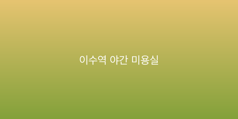 이수역 야간 미용실