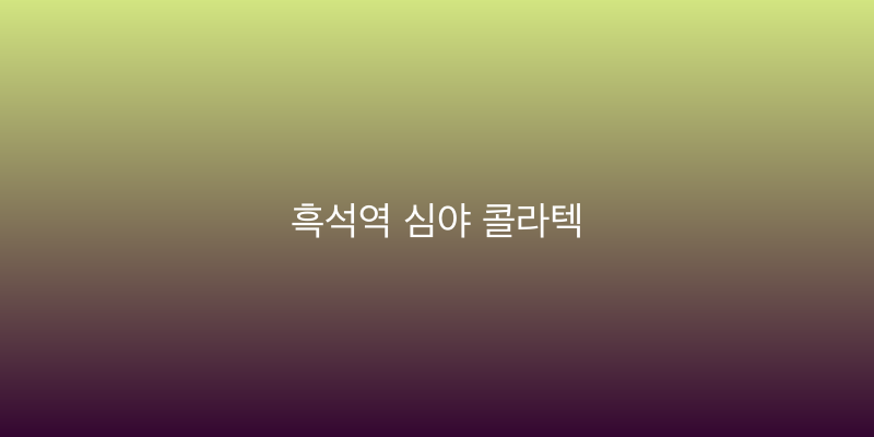 흑석역 심야 콜라텍